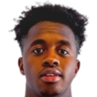 蒂莫科·迪亚拉