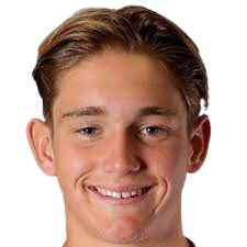 多米尼克·巴拉德