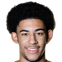 泰勒·奥尼安戈